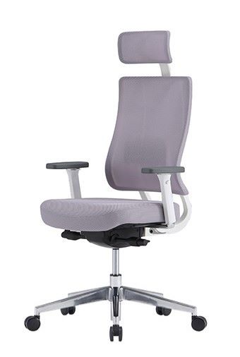 X-TRANS - Görsel 2